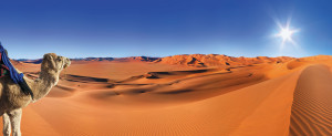 En plein désert