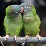 tel un homme pense en son coeur